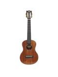 Alegria UK58T Ukulele