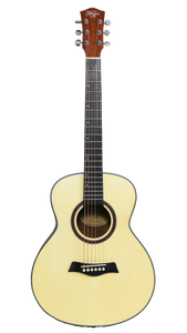 Alegria AGT120 (3/4-Sized Acoustic Guitar)