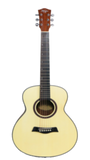 Complete Guitar Starter Kit (bold app)